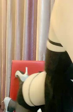 еС¶ʮ