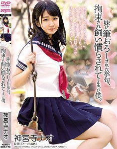DDK-174 ðƴҵū 