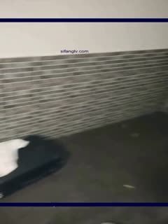 3ճСŮһȺСȺP