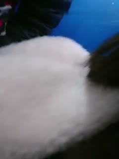⹴ŮŮʦţƹЭԱ вžž 󼦰͸ɵĶ
