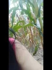 ֵɧѷĴŮˢ500鵽׵綯ͲƵ綼ù